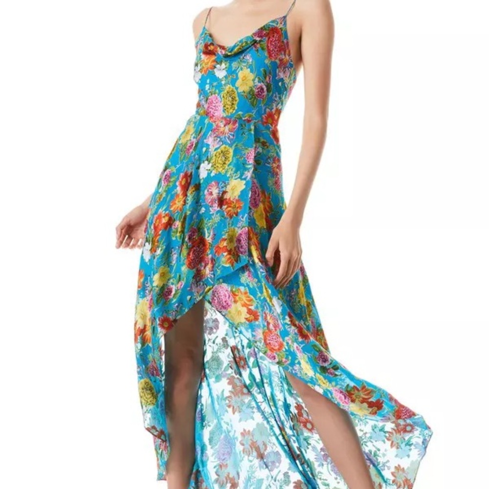 Alice + Olivia- Floral Blue Maxi Dress